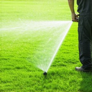 Expert Irrigation & Sod Install Tips for a Healthy Lawn in 2025