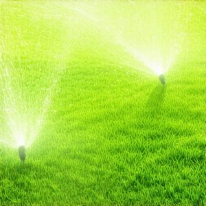 Top Irrigation Design Tips for a Lush, Healthy Lawn in 2025