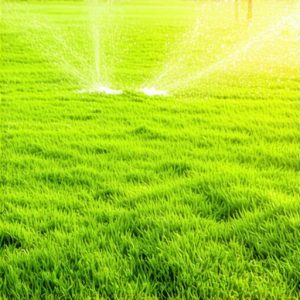 Ultimate Guide to Sod Install & Irrigation for a Lush Lawn in 2025