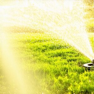 Best Irrigation System Design Strategies for a Lush Lawn in 2025