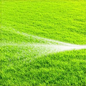 Pro Sod Install & Irrigation Best Practices for 2025 Lawns