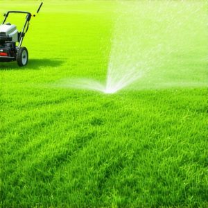 Pro Sod Install & Irrigation Strategies for a Perfect 2025 Lawn