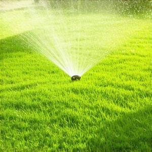 Pro Sod Install & Irrigation Tips for Lush Lawns 2025
