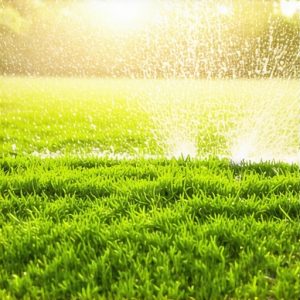 Sod Install & Irrigation Experts: Boost Your Lawn in 2025