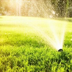Top Sod Install & Irrigation Tips for a Lush Lawn in 2025