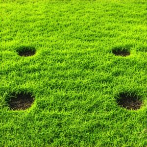 Stop the Patchy Spots: 4 Soil Aeration Fixes for 2026 Sod