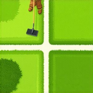 4 Grass Seeding Fixes for a Patchy Culpeper VA Lawn in 2026