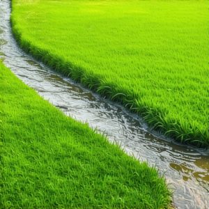 3 Culpeper VA Landscaping Fixes to Stop 2026 Drainage Floods