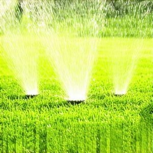 3 Sprinkler Nozzle Tweaks to Fix 2026 Dry Spots