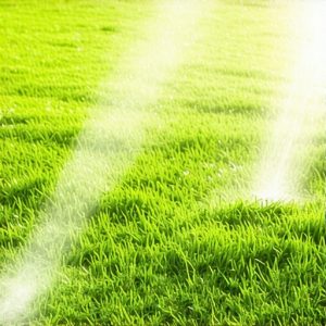 Fix Your 2026 Sod: 4 Watering Mistakes Killing Your Lawn