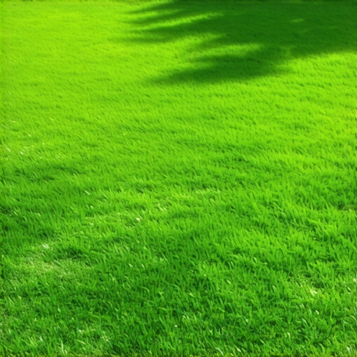 How to Fix Thin Culpeper Lawns: 3 Seeding Tactics for 2026