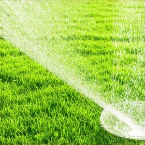 Stop New Sod From Wilting: The 2026 Deep-Soak Method
