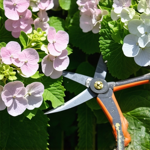 The Right Way to Prune Hydrangeas for Massive Blooms Next Year
