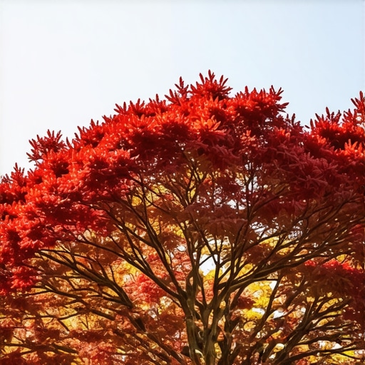 Why Your 2026 Japanese Maples are Burning in Sun