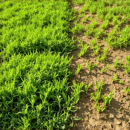 Why Spring Pre-Emergent Fails to Stop Crabgrass Every Year