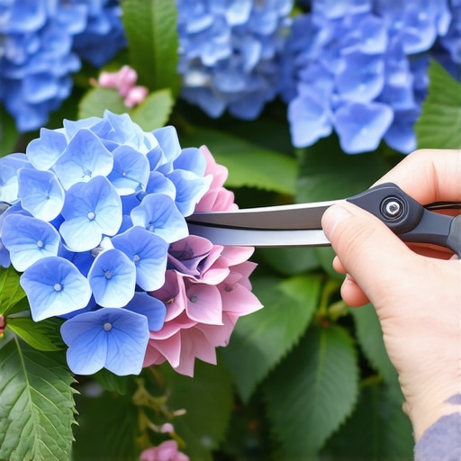 How to prune hydrangeas based on their bloom color